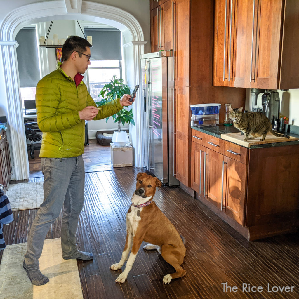 whole happy foster family: husband, dog, cat